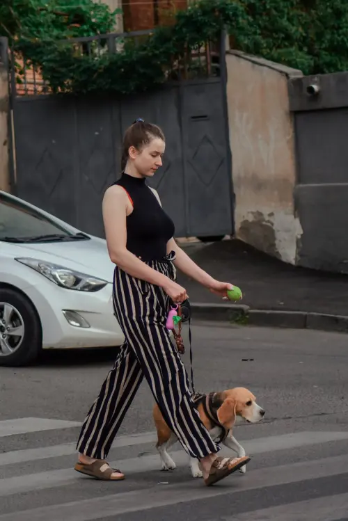 Lecce, marciapiedi sporchi: l’appello del sindaco ai proprietari di cani