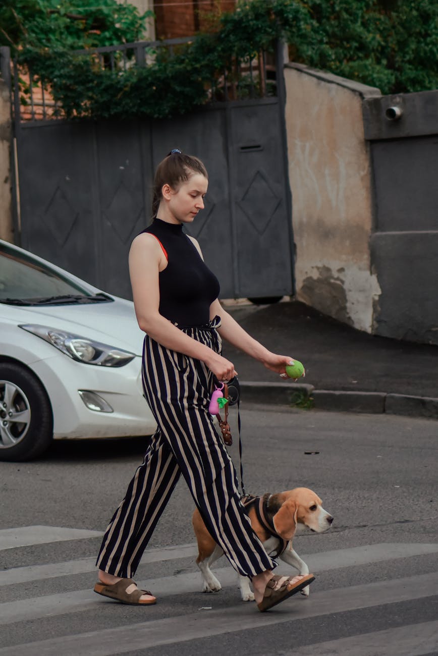 Lecce, marciapiedi sporchi: l’appello del sindaco ai proprietari di cani