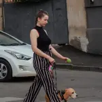 Lecce, marciapiedi sporchi: l’appello del sindaco ai proprietari di cani