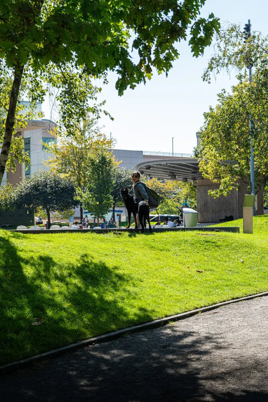 Lecce, incontro a Palazzo Carafa su Natura connessa