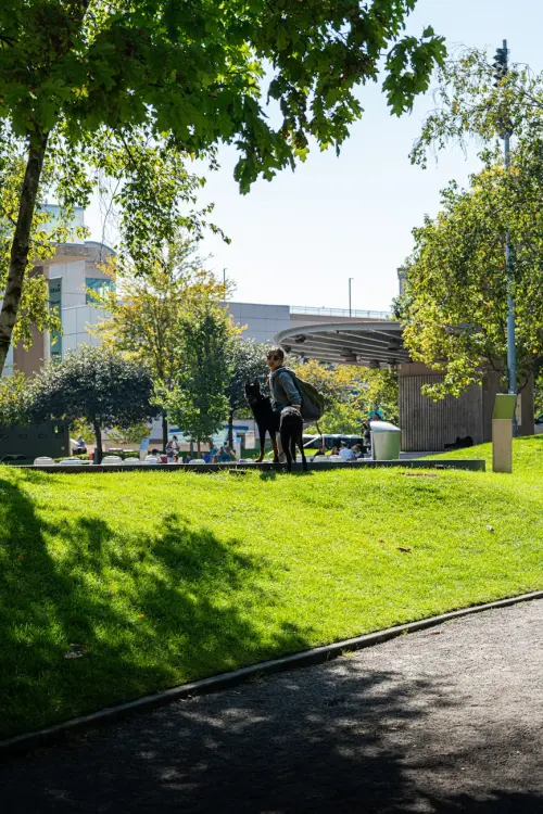 Lecce, incontro a Palazzo Carafa su Natura connessa
